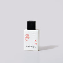 Charger l&#39;image dans la galerie, Aromatic spices + Jasmine alcohol-free perfume
