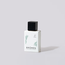 Load image into Gallery viewer, Pine Tree + Vetiver alcohol-free perfume

