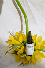Load image into Gallery viewer, rosehip oil serum
