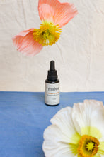 Load image into Gallery viewer, rosehip oil serum
